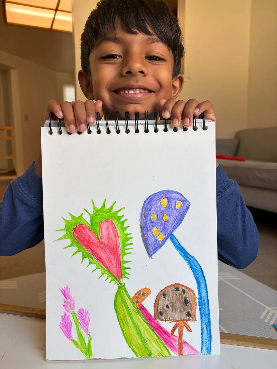 Art & Drawings